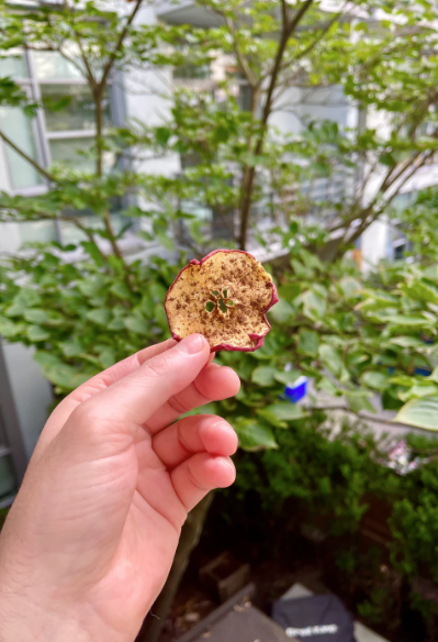 Getrocknete Apfelscheiben