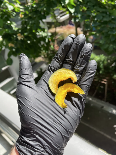 Getrocknete Mangoscheiben