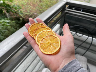 Getrocknete Orangenscheiben