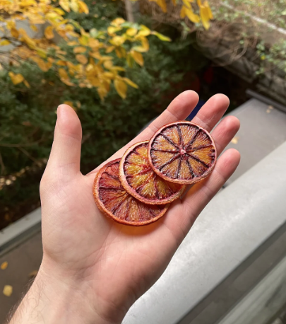 Getrocknete  Blutorangenscheiben