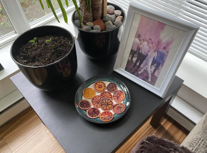 Getrocknete  Blutorangenscheiben